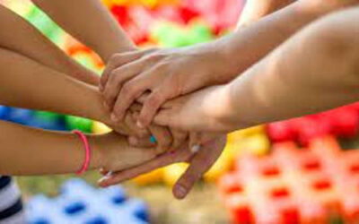 Crisi Volontariato: spigolature sulla crisi quantitiva del volontariato!